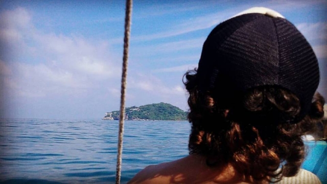 visitas guiadas de avistamiento